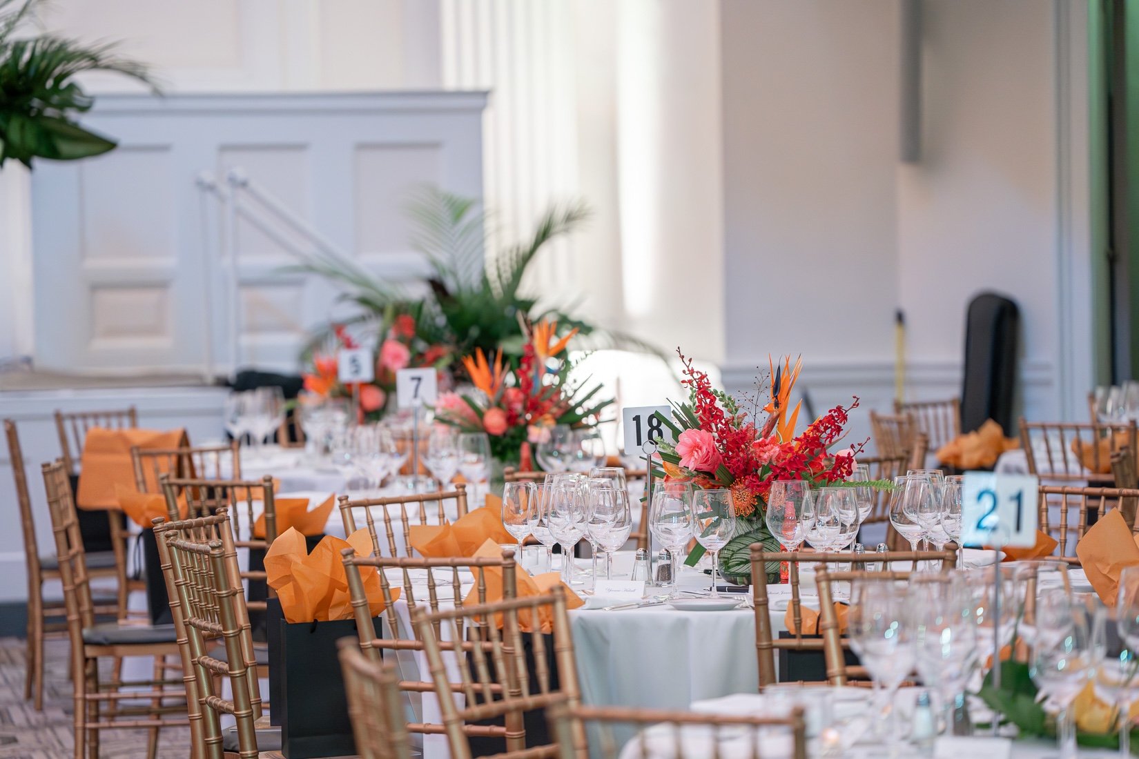 Fundraisers & Galas